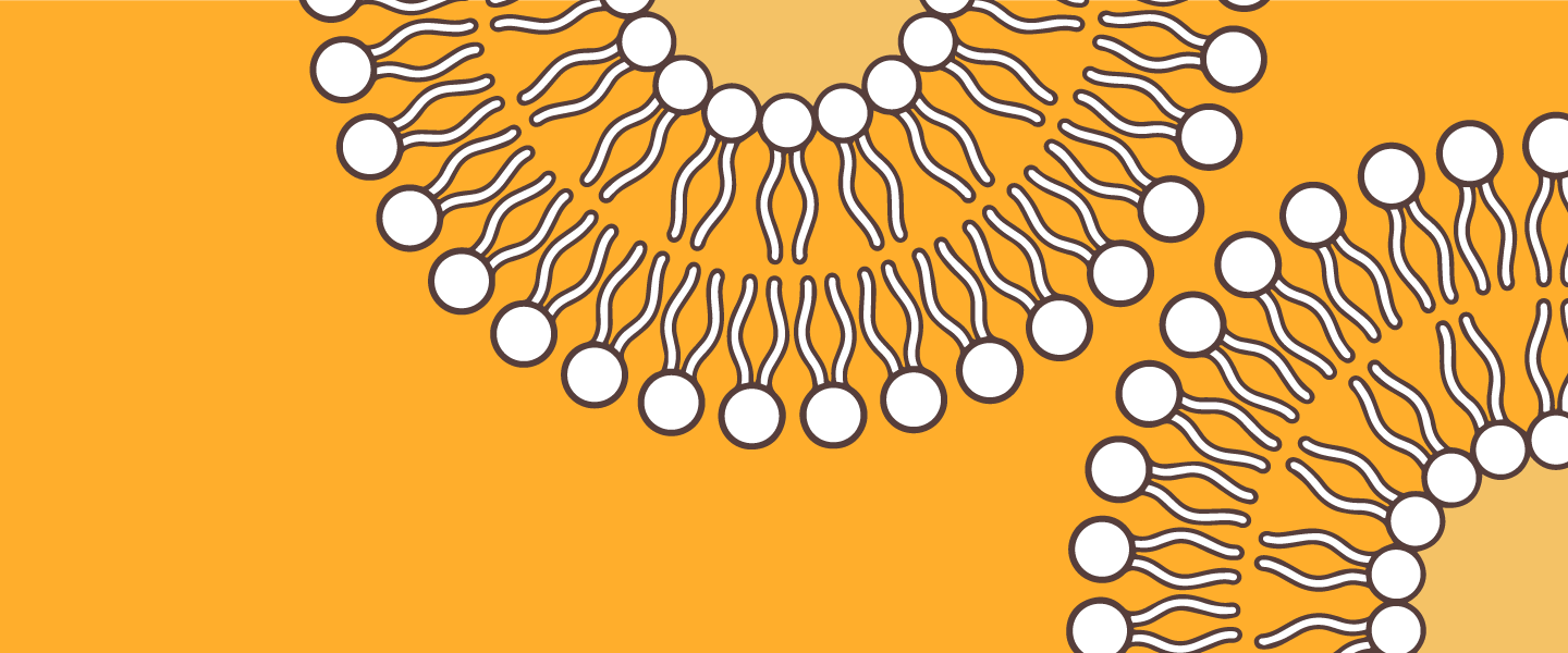 Featured image for “Buy Australian Made Liposomal Vitamin C Elixir”