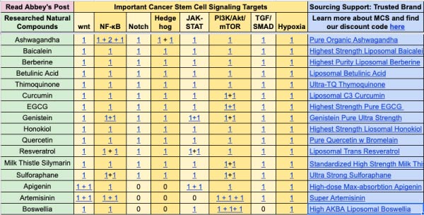 compounds in bioavailable natural supplements target cancer stem cell quick view table, including curcumin, berberine, egcg and sulforaphane