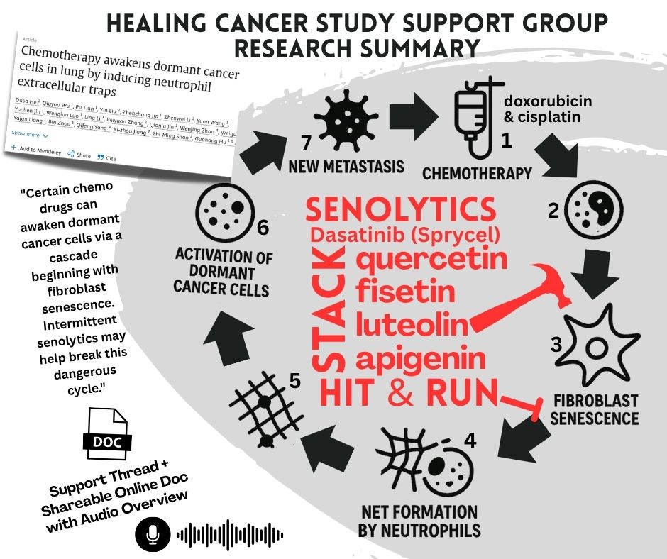senolytics MOA chemo resistance post update 