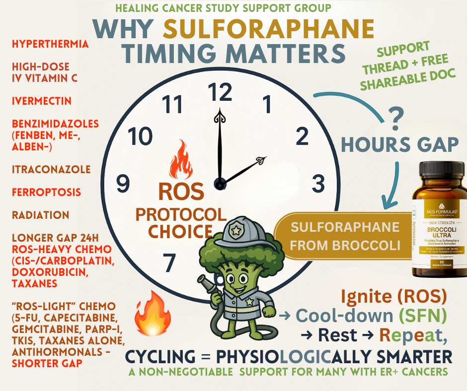 Sulforaphane Timing Matters for Cancer Patients