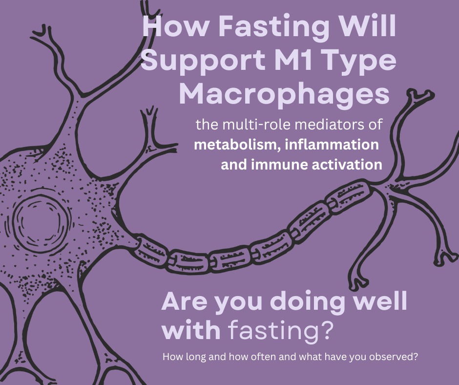fasting improves immune surveillance