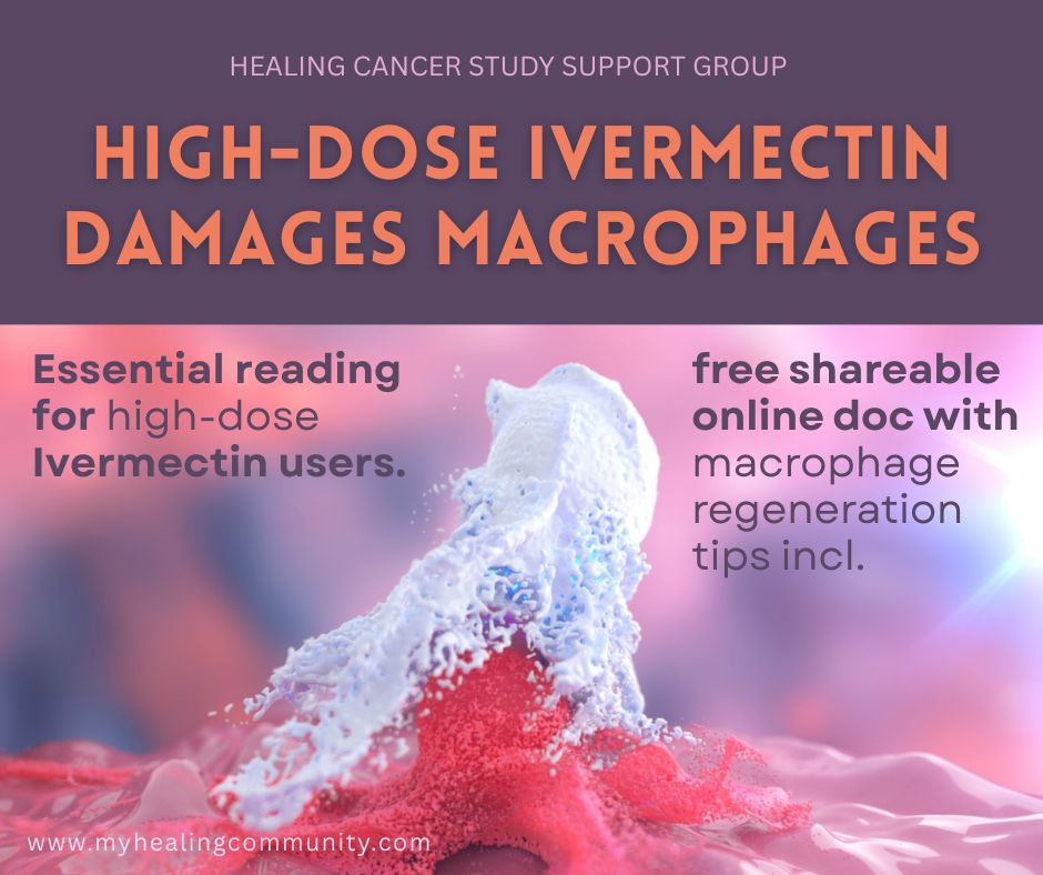 ivermectin damages immune cells